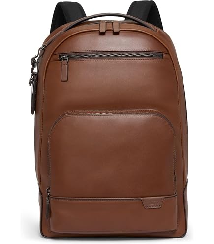 Amazon.com: Cole Haan Men's Matthews Backpack, British Tan